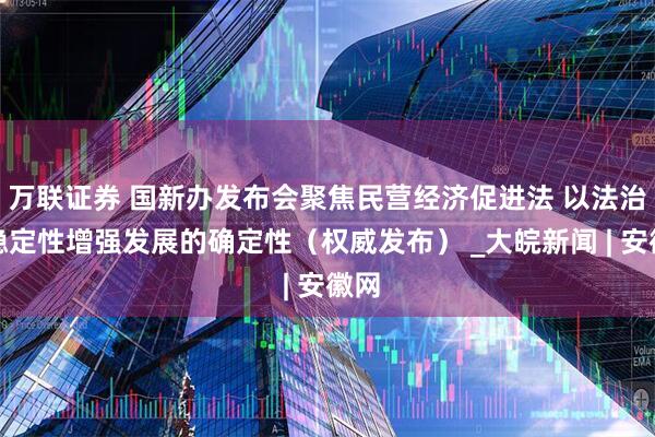 万联证券 国新办发布会聚焦民营经济促进法 以法治的稳定性增强发展的确定性（权威发布） _大皖新闻 | 安徽网